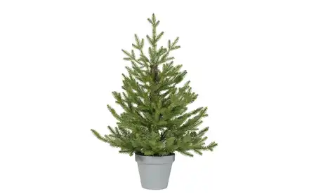 KAEMINGK MINI CHOINKA W DONICY 53X75CM 681518