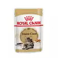 ROYAL CANIN MAINECOON 85G 