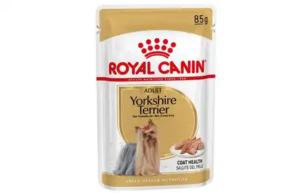 Royal Canin Yorkshire Terrier Adult karma mokra dla psów małych ras 85g 266970