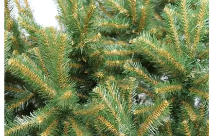 TOYLAND CHOINKA SZTUCZNA ŚWIERK SKANDYNAWSKI 150CM