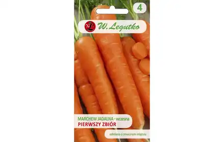 Nasiona marchew wczesna pierwszy zbiór jadalna 5G Legutko GRC4 Daucus carota