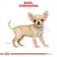 Royal Canin Chihuahua Puppy 0,5kg