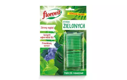 Pałeczki nawozowe roślin zielonych 20 sztuk FLOROVIT 