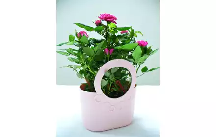 OSŁONKA DONICZKA TORBA LILY JAGODOWA ITLI240-5245U PROSPERPLAST