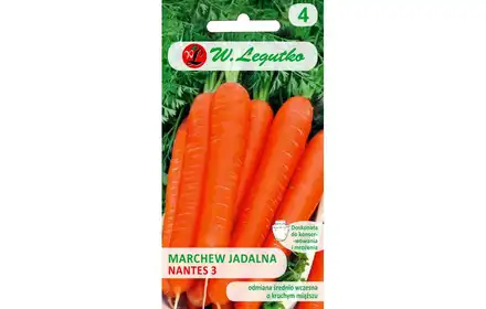 Nasiona marchew jadalna Nantes 3 średnio wczesna 5g GRC4 Daucus carota