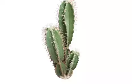 Kaktus sztuczny w doniczce 116cm zielony 80.0626