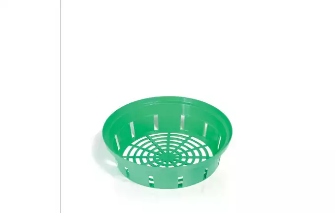 Koszyk Na Cebule Onion Zielony 26 Cm Ikc3 Prosperplast