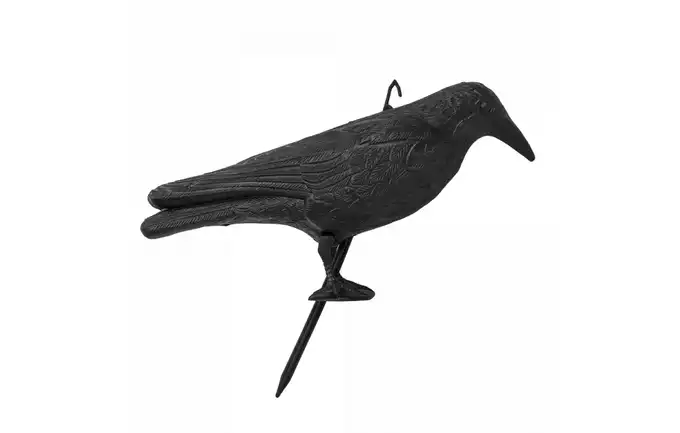 Odstraszacz Ptaków Imitacja Kruka 41cm Ctrl-Br101 Bradas