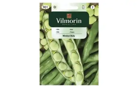 Nasiona-Bób Windsor Biały 40g Vilmorin Grc1