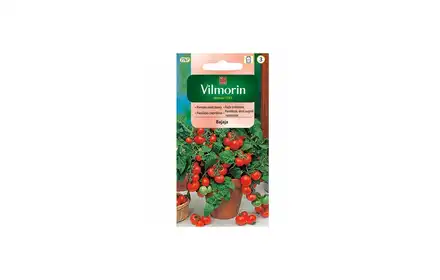 Nasiona Pomidor Bajaja 0.5g Vilmorin Grc3