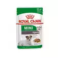 Royal Canin 12+ Mini Ageing karma mokra dla starszych psów 85g 270030