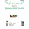 Fasola szparagowa karłowa Złota Saxa 40 g Legutko GRC3 Phaseolus vulgaris var. nanus