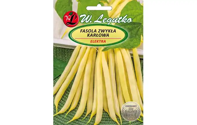 Nasiona fasola zwykła karłowa szparagowa Elektra żółta 40g Legutko Phaseolus vulgaris var. nanus GRC3