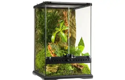 Terrarium szklane MINI, 30x30x45cm