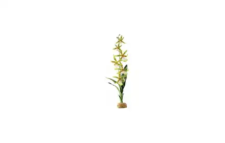 Roślina sztuczna - Orchidea Spider Orchid
