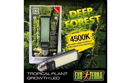 Żarówka LED Deep Forest 4500K, 8W