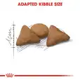 KARMA ROYAL CANIN FHN INDOOR APPETITE CONTROL 400G 229720