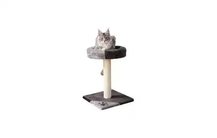 Drapak dla kota Tarifa JUNIOR, 52 cm, szary/czarny