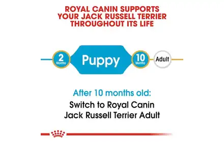 KARMA ROYAL CANIN JACK RUSSEL PUPPY 1.5KG 257590