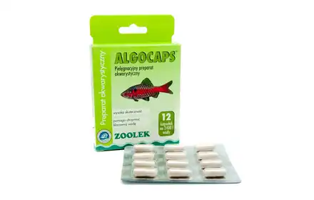 Zoolek preparat  algocaps tabletka-1szt