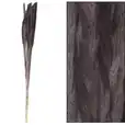 Trawa pampasowa 65-75 cm susz czarny 45101-074