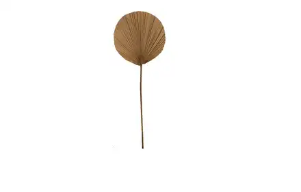 Liść palma 38*1*100 cm natural 49567-017
