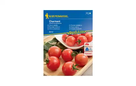 Nasiona Pomidor Cherry Charmat Bruno 00007312-000-00