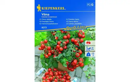 Nasiona Pomidor Cherry Vilma Bruno 00008273-000-00