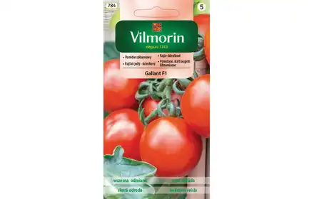 Nasiona Pomidor Gallant F1 Szkl. 0.2g Grc5 Vilmorin