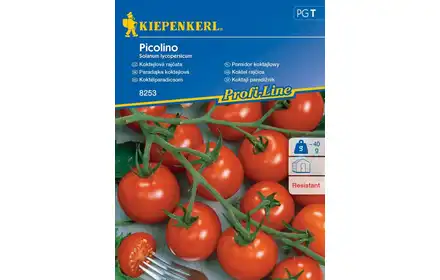 Nasiona Pomidor Koktajlowy Picolino Bruno 00008253-000-00
