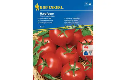 Nasiona Pomidor Sałatkowy Harzfeuer Bruno 00008321-000-00