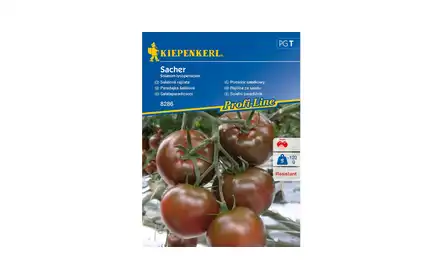 Nasiona Pomidor Sałatkowy Sacher Bruno 00008286-000-00