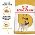 Karma Royal Canin Pug Adult 1,5kg 255700
