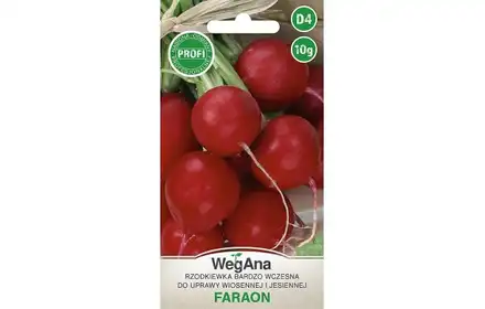 NASIONA RZODKIEWKA FARAON 10G WEGANA
