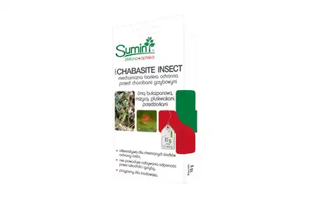 Sumin Chabasite Insect 10 G