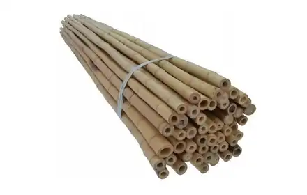 [Zestaw] Tyczki Bambusowe Kod.120cm 16-18mm - 10 szt