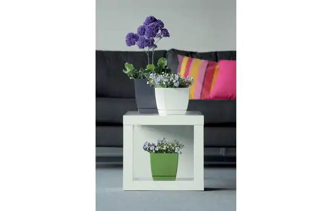 PROSPERPLAST DONICZKA COUBI BIAŁY 18CM x 18CM x 16,5CM