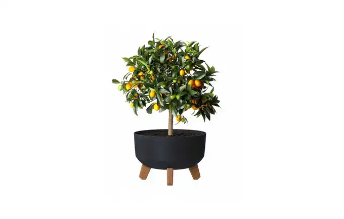 PROSPERPLAST DONICZKA GRACIA STANDARD - ANTRACYT DGRL240-S433